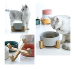 Unique Colorful 15.5*7cm Cat Ceramic Bowl Pet Food Feeder